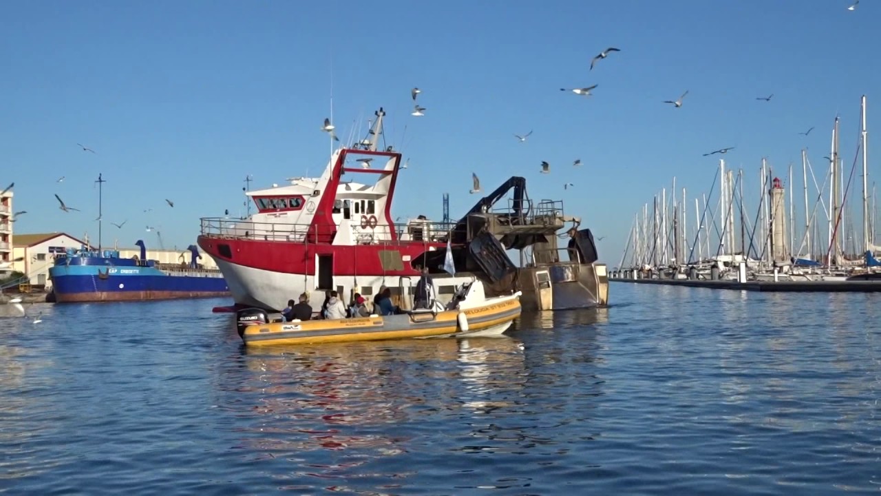 Rentrée des chalutiers Sète 28/10/2016