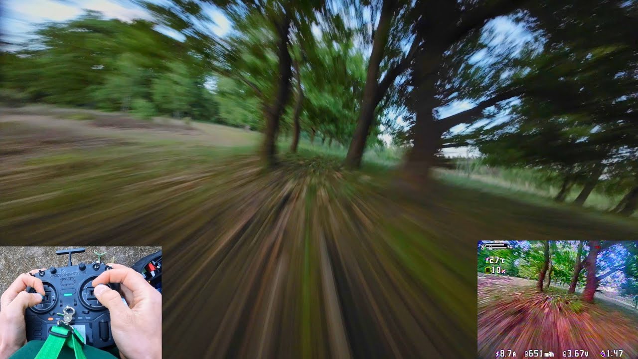 Speeding in the forest | FPV Freestyle