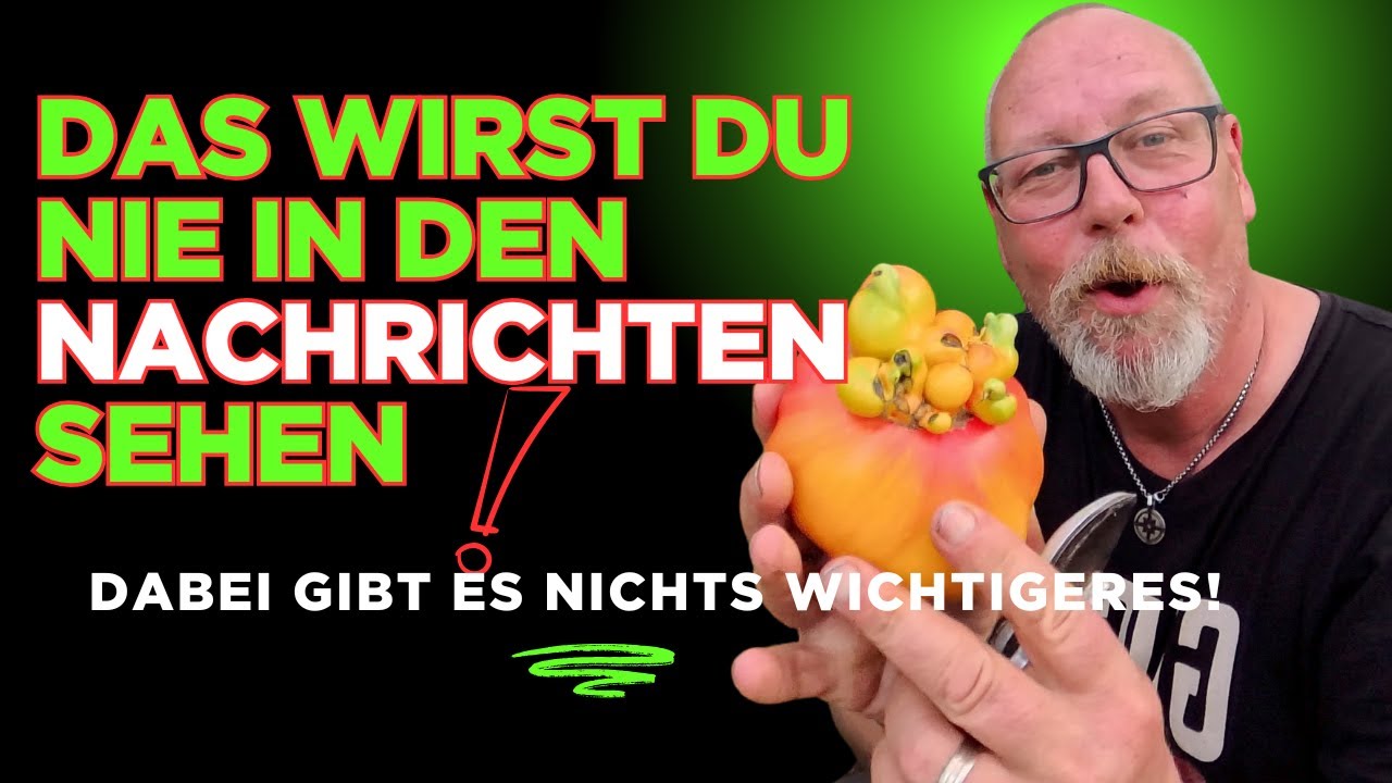 Das wirklich Wichtige erfährst Du nie aus den Nachrichten! Wie steht´s mit der Tomatenernte 2025