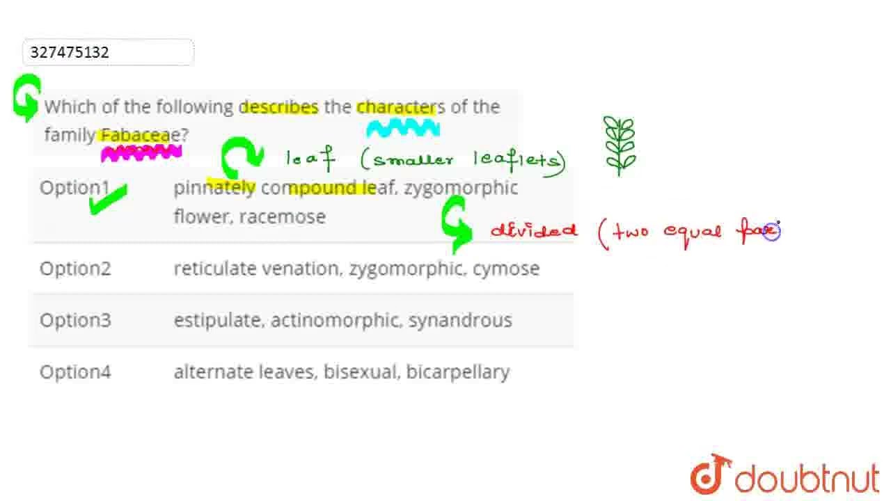 Which of the following describes the characters of the family Fabaceae? | CLASS 12 | NTA NEET SE...