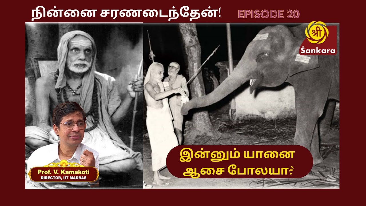 அவரவருக்கு விதிக்கப்பட்ட வாழ்க்கையை சரியா கடைப்பிடிக்கணும் l Episode 20 l Ninnai Charanadaintheyn