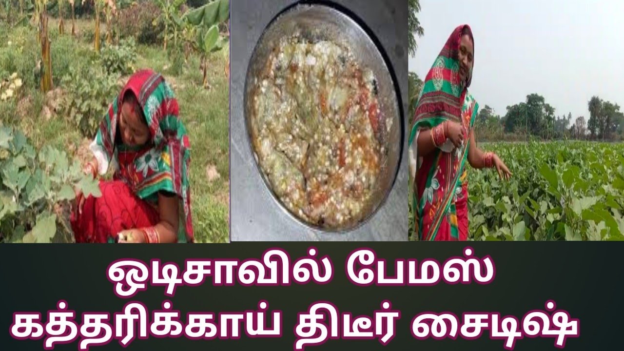 😋ஒடிசாவில் பேமஸ் கத்தரிக்காய் திடீர் சைடிஷ் #odishaculture #tasty #video #odisha #tamil #foodshorts