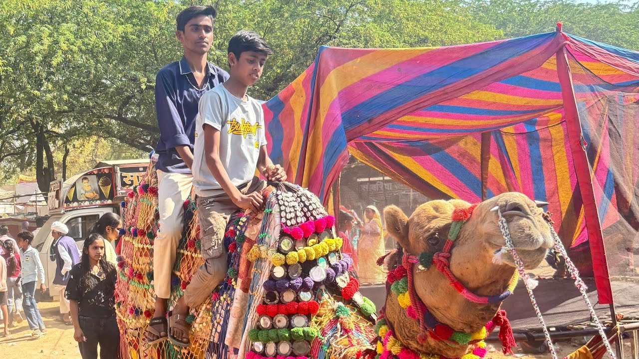 Aaj Mela Mein Ishwar aur mein Unt🐪 per baithe