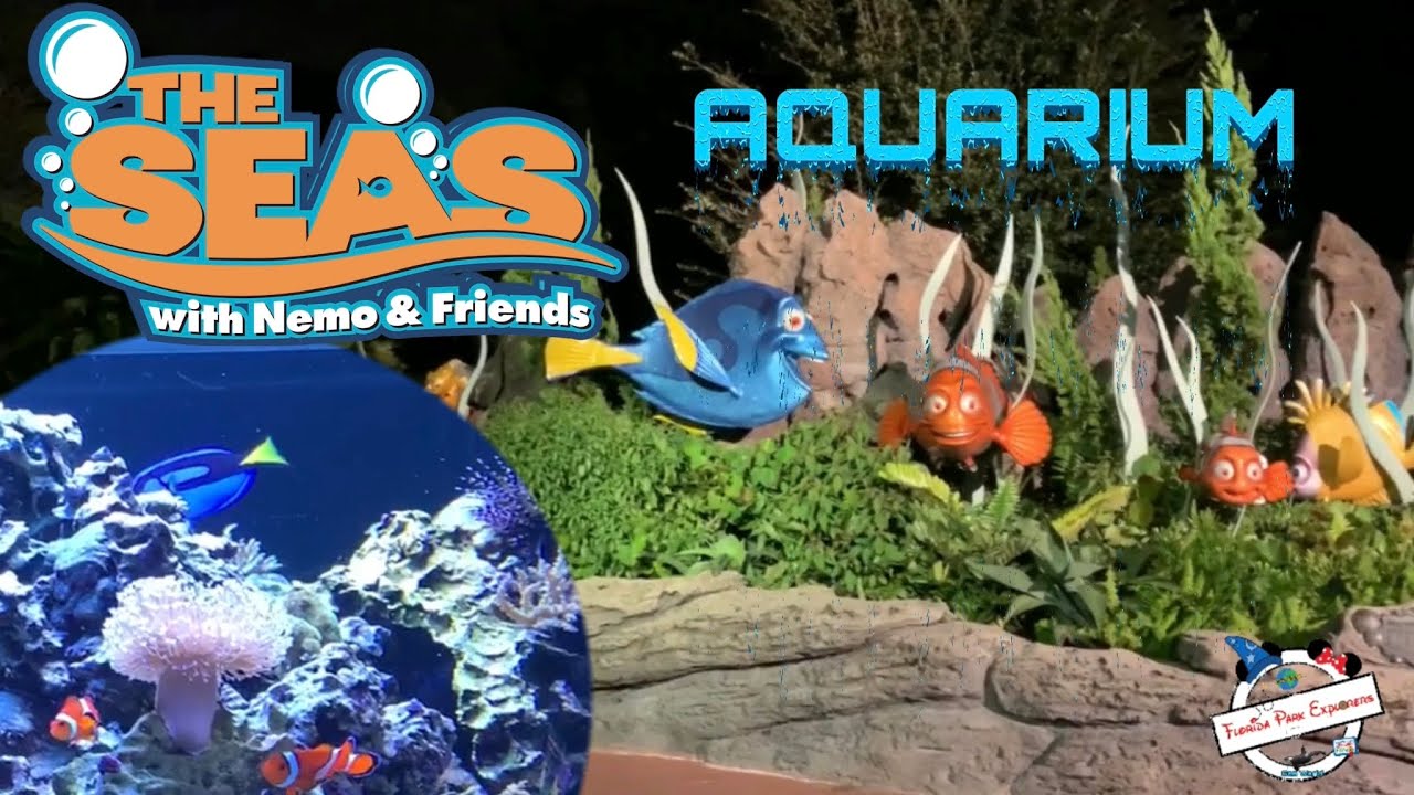 We Explore the Aquarium at Disney’s The Seas with Nemo in EPCOT! #WDW #nemo #aquarium #dory #epcot