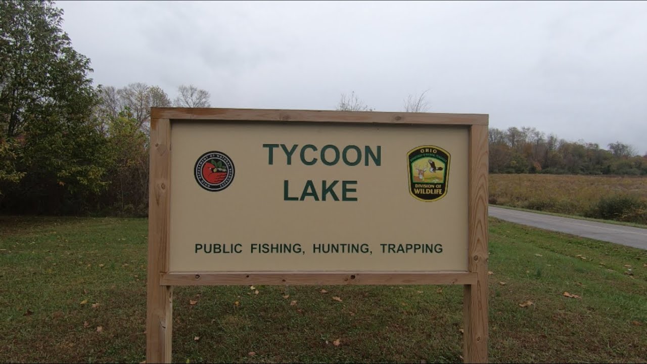 Tycoon Lake Wildlife Area, Fall 2020