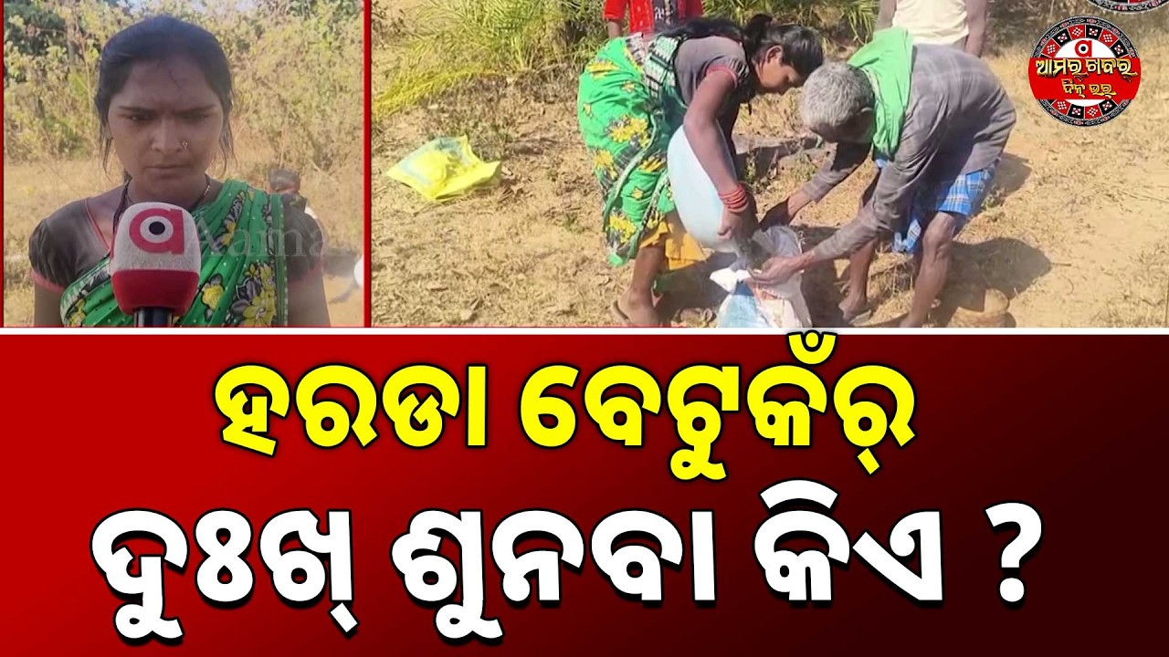 ହରଡା ବେଟୁକଁର୍ ଦୁଃଖ୍ ଶୁନବା କିଏ ? NPD KHARIAR HARADA GOTALI NKA DUKHA