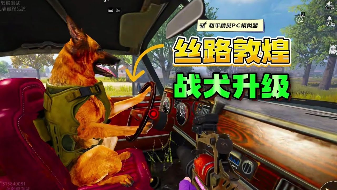 体验服《战犬》升级回归教学！