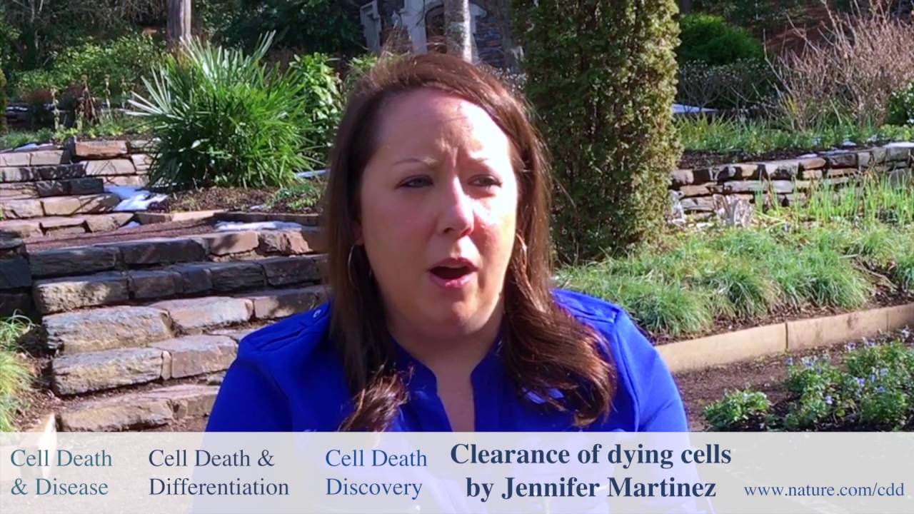 The clearance of dying cells, June 2016
