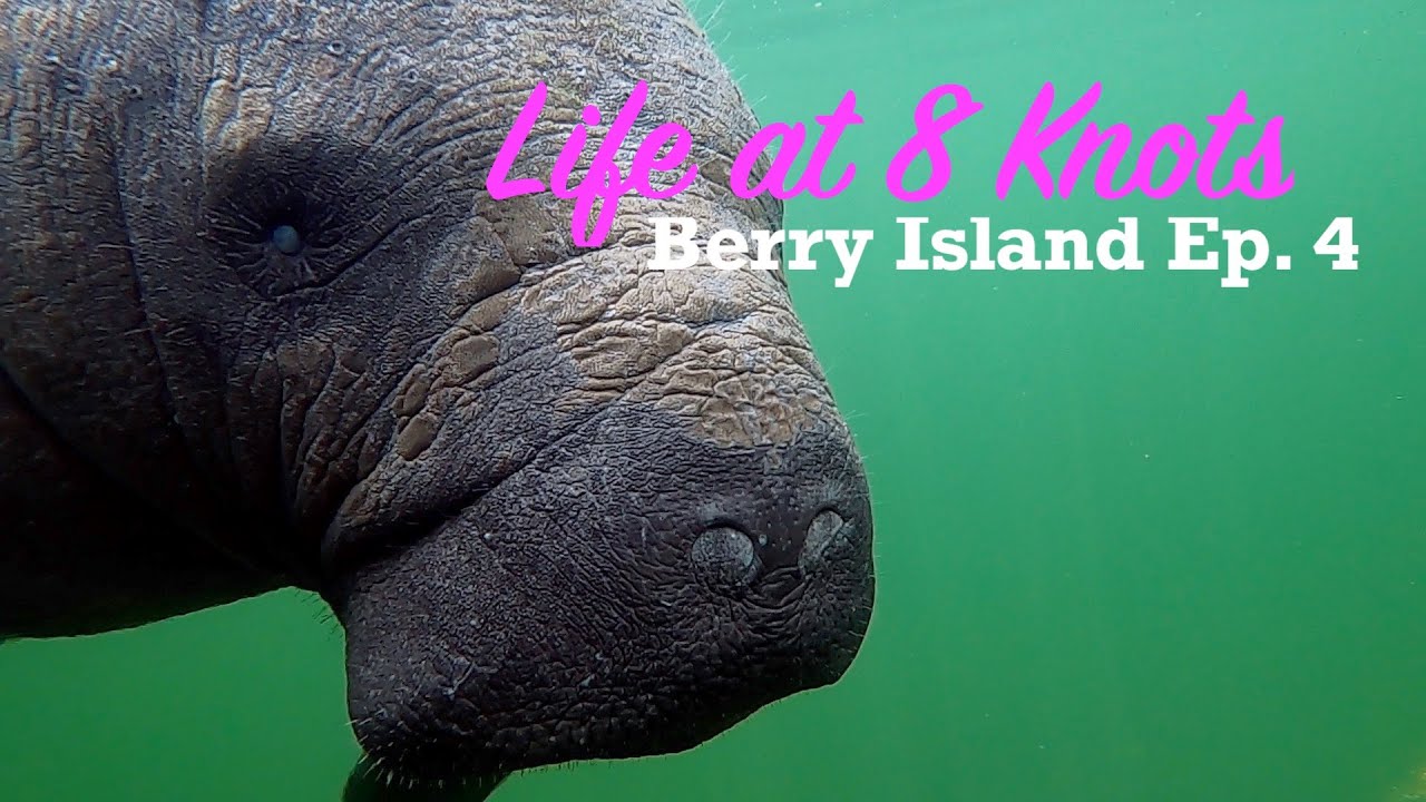 A deserted DRUG ISLAND?!  Exploring Cistern Cay on Sailing Catamaran Lost Cat - Berry Islands Ep. 4