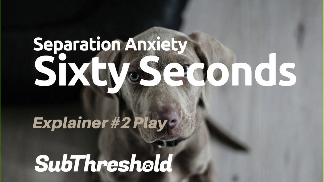 Explainer #2: A plug for play as enrichment