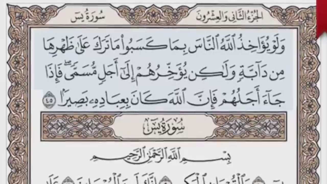 القرآن الكريم بالصفحات صوت وصورة ص/ 440 الشيخ محمود خليل الحصري بمد المنفصل