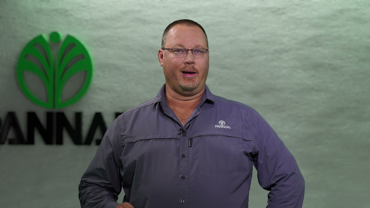 Water- en Voedingstofopname van Mielies deur die Groeiseisoen