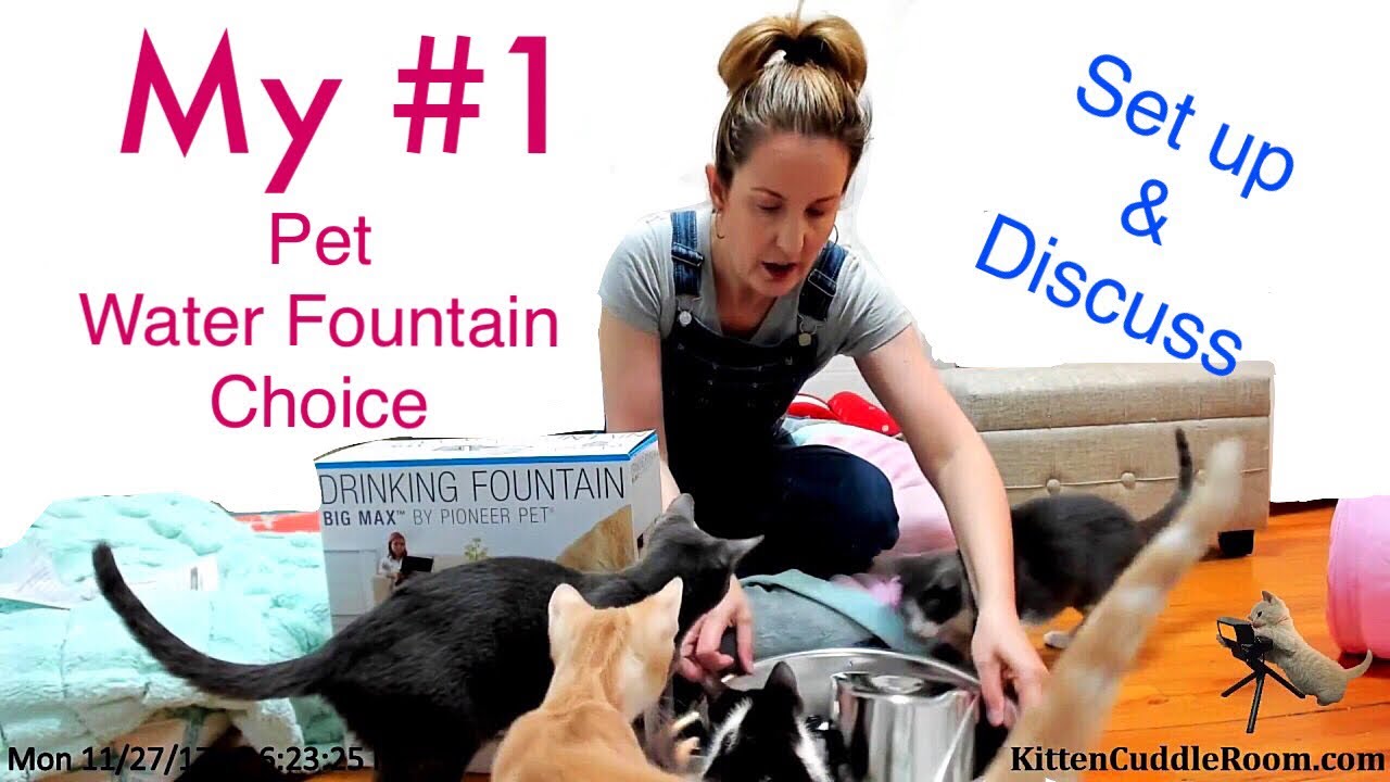 Pet Water Fountain : Pioneer Pet Big Max Stainless Steel Fountain