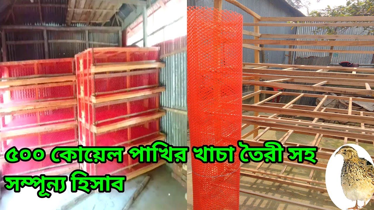 ৫০০ কোয়েল পাখির খাচা তৈরি সহ A TO Z  সম্পূন্য হিসাব,koyel pakhir khacha tori soho sompunno hisab.