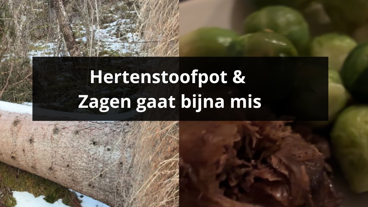 Wonen in Noorwegen | Hertenstoof & Zagen gaat bijna mis
