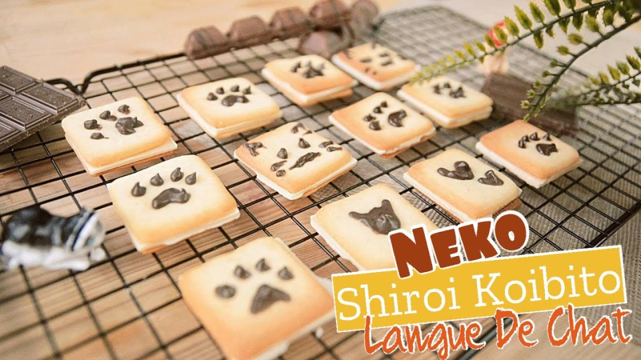 Shiroi Koibito that melts in your mouth l Diary #27