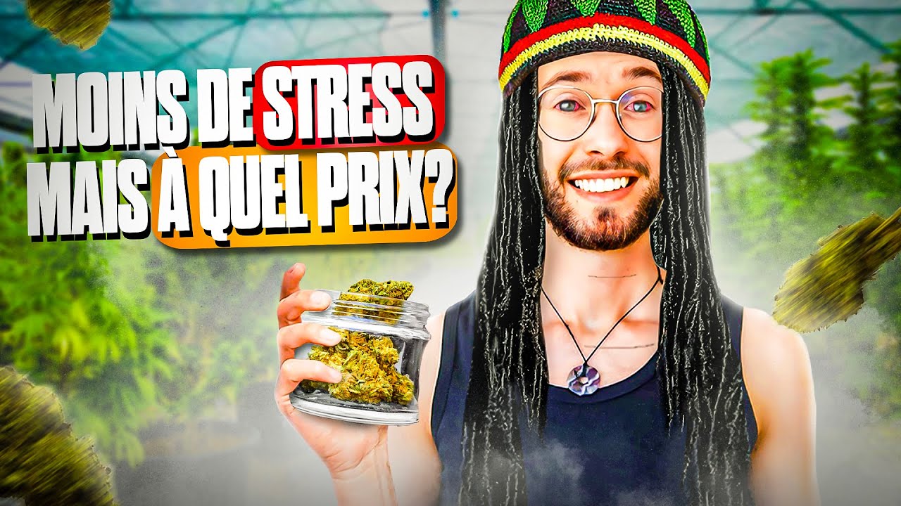 LE CBD EST-IL VRAIMENT EFFICACE POUR SOULAGER RAPIDEMENT LE STRESS ?
