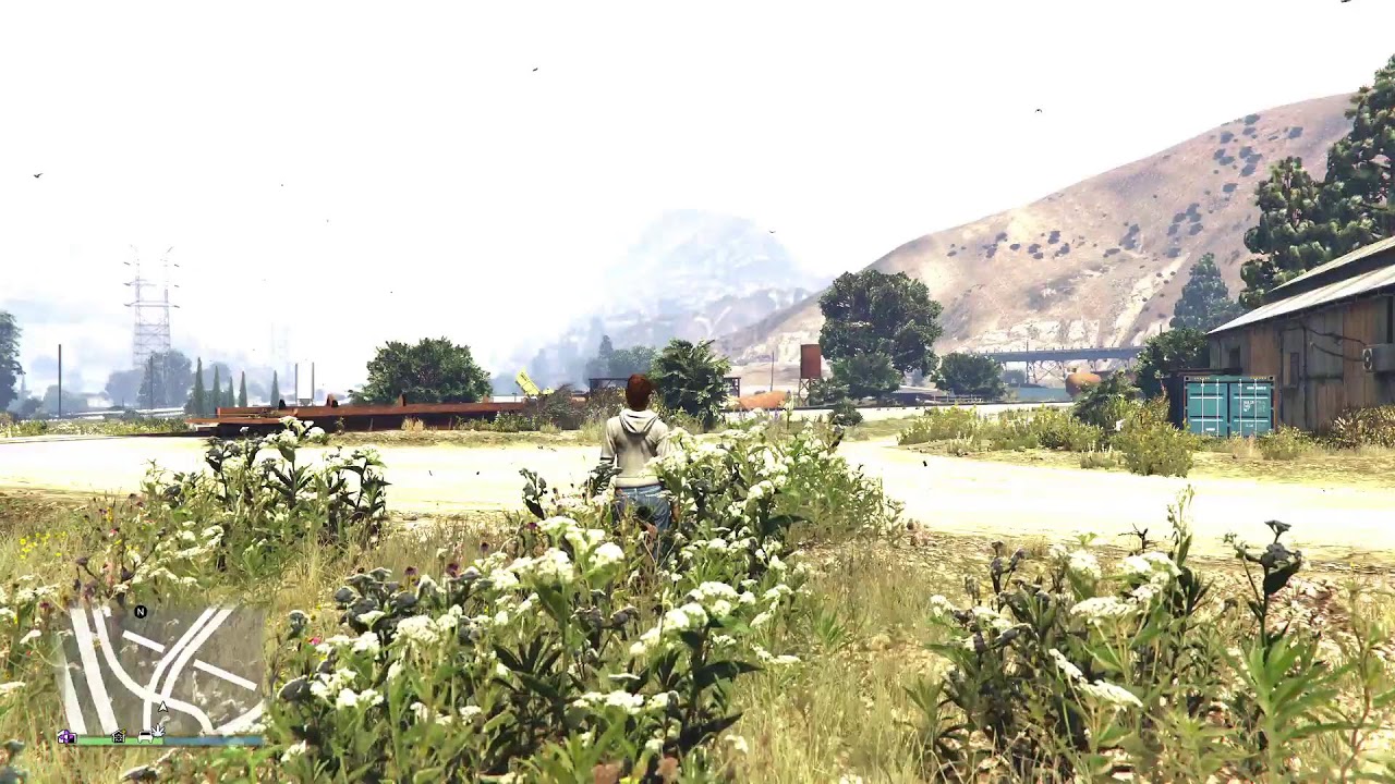 GTA5