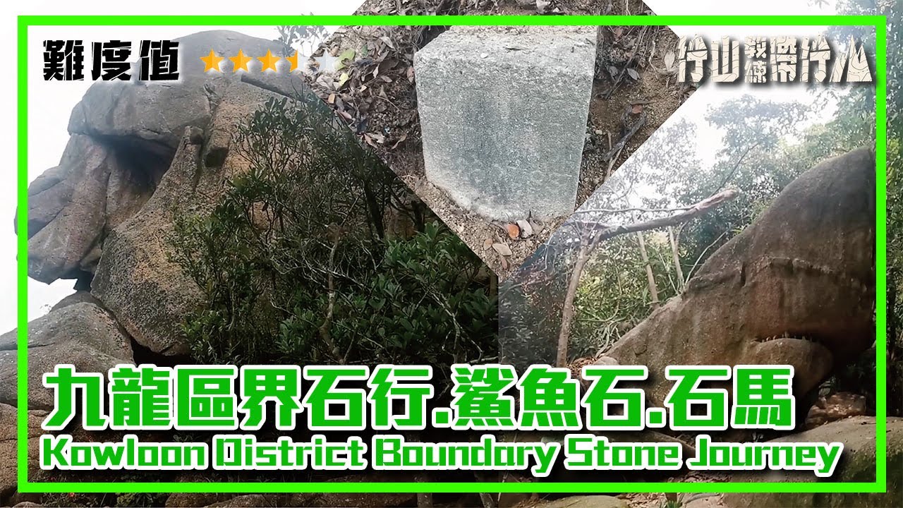 【ENG SUB】九龍區界石行 鯊魚石 石馬｜行山教練帶行山117｜獅子山下打卡景點｜Hiking: Join the PRO 117