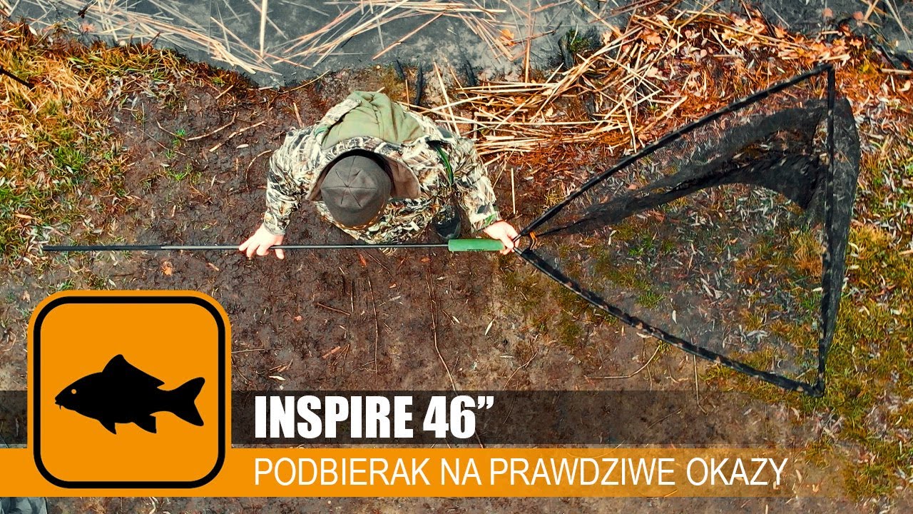 🐋 #podbierak na prawdziwe okazy - #Inspire 46'' // #Prologic