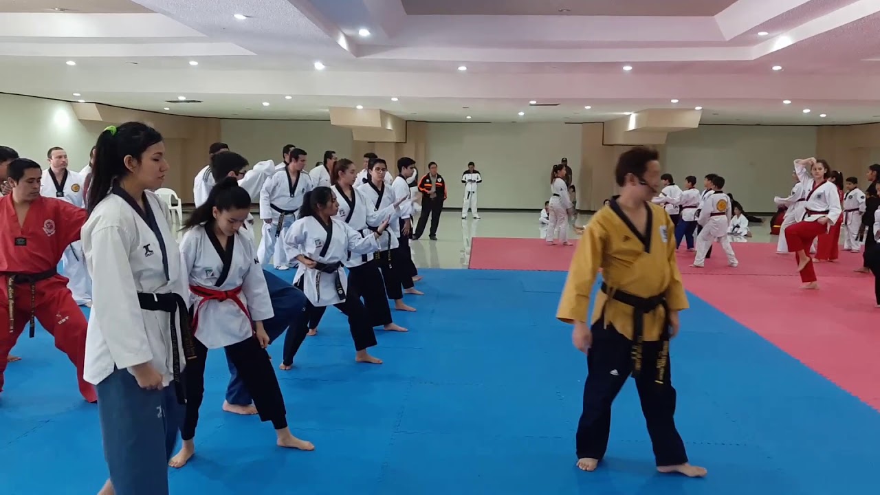 Poomsae Kumgang Posiciones, Errores y Correcciones - Seminario Estatal de Poomsae 2020 - 7/9