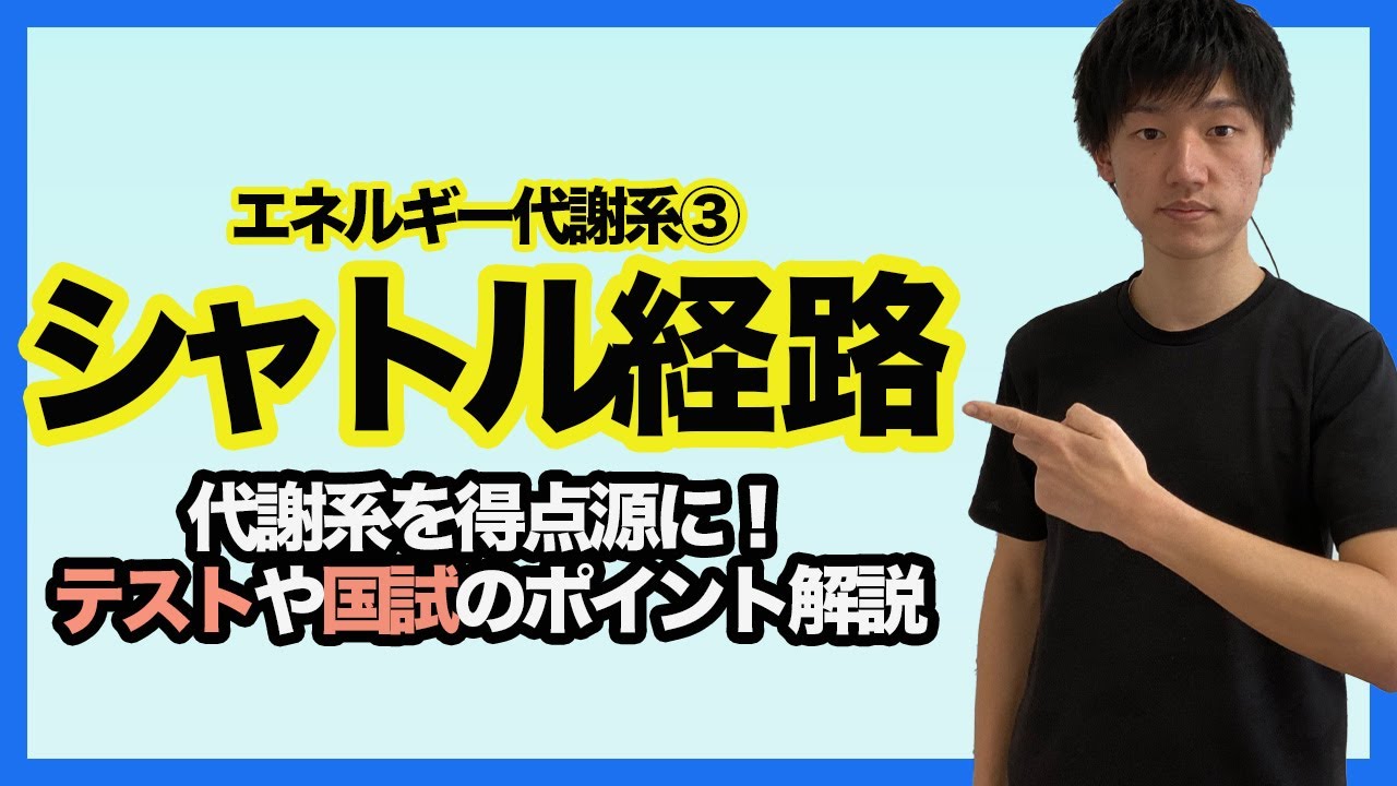 【エネルギー代謝系③シャトル経路】解糖系と合わせてコレで完璧！テストと国試で得点源にしよう！