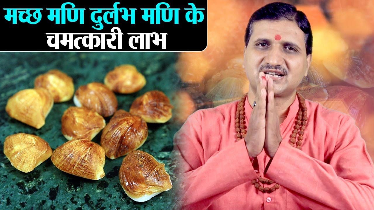 मच्छ मणि देती है चमत्कारिक लाभ ,राहु जनित दोष  भी होगा शांत | Divine Kosh