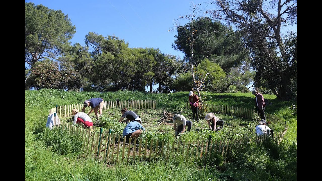 TERREMOTO // David Godshall and Jenny Jones, “Radical Gardens of Love and Interconnectedness”