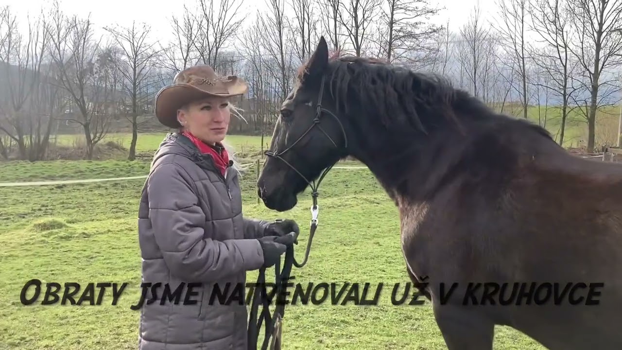 Jak na to když vás kůň chce odtáhnout na vodítku?