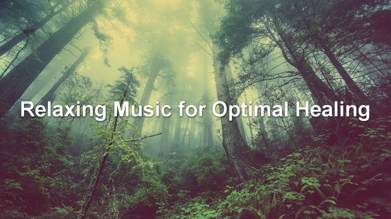 Amazon Rainforest Relaxing Music - Relaxing Music - Water Streams, Gentle Birds And Rainforest Sound
