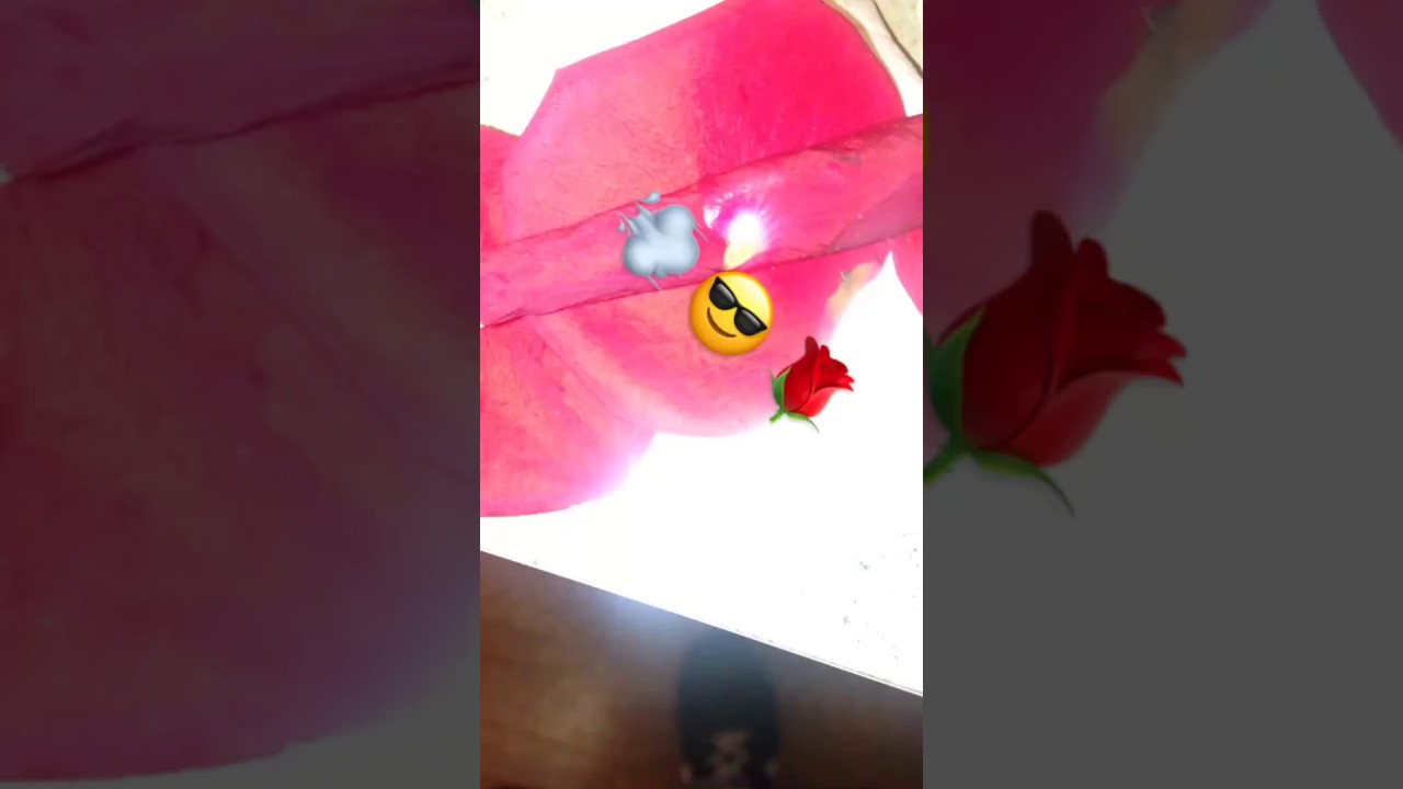 How to roll a Rose Blunt!!! #SUBSCRIBE# & #LIKE#