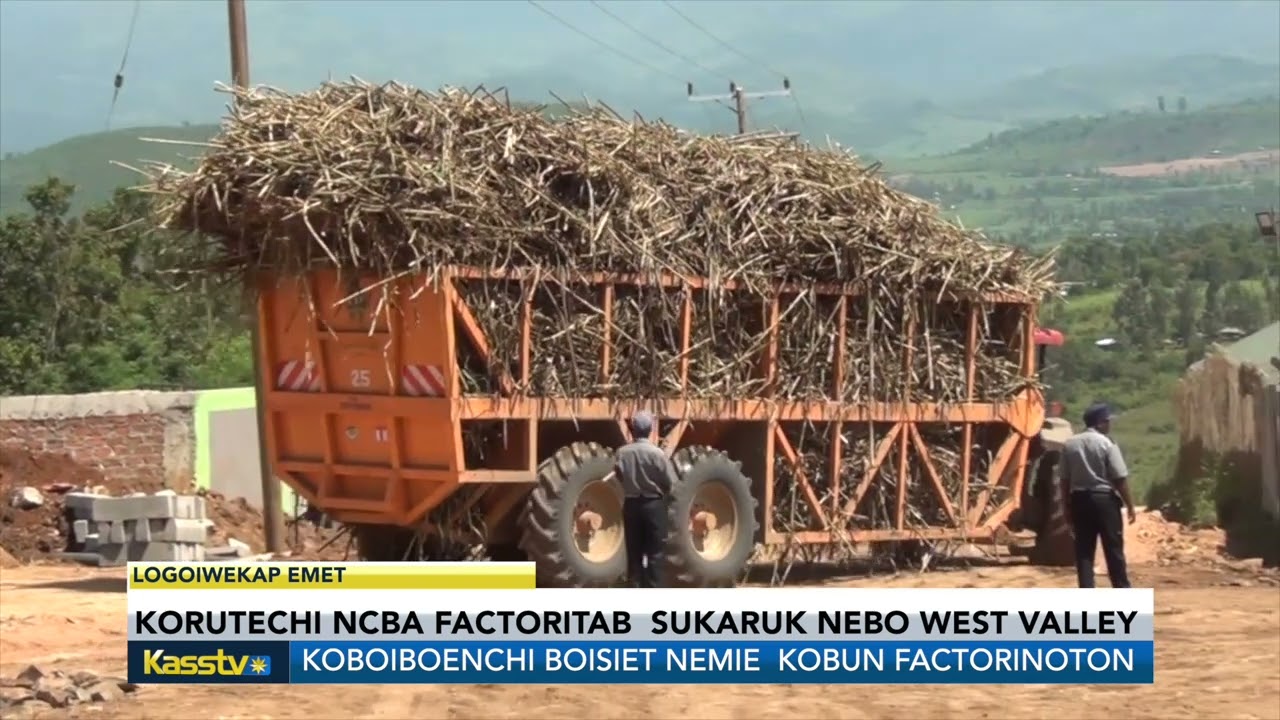 RUTOITAB NCBA ENG WEST VALLEY SUGAR