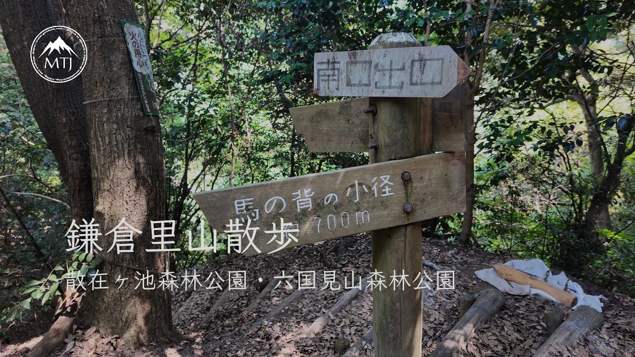 鎌倉里山散歩（六国見山）大船から北鎌倉へ【ハイキング・日帰り・電車・2025年8月31日】神奈川県鎌倉市