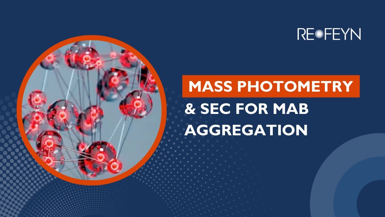 Comparing Mass Photometry and SEC for Biosimilar mAb Aggregation Analysis