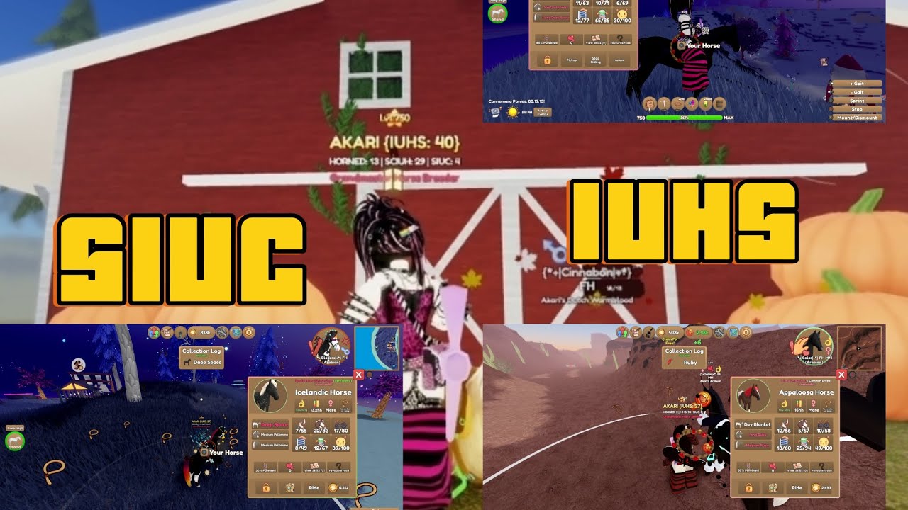 Everything i caught in November #wildhorseislands#roblox 