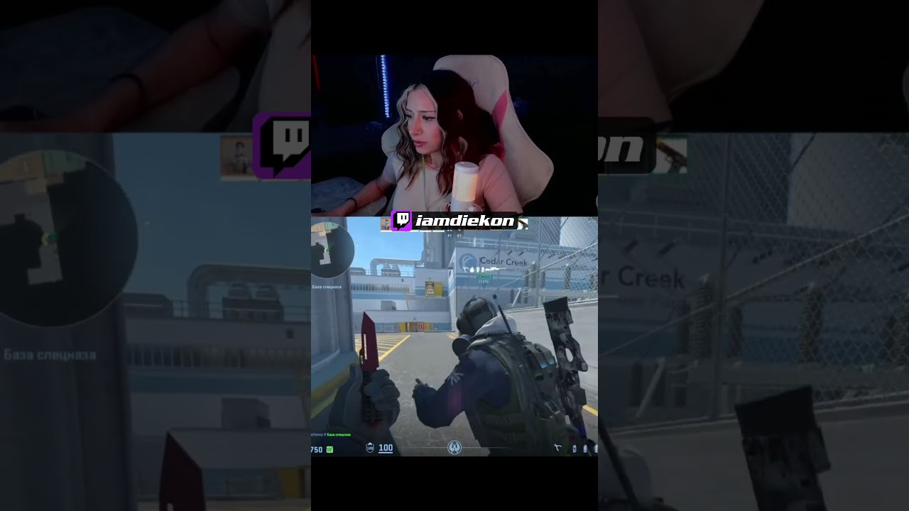 Ну ведь правда! тгк:diekon1 #twitch #gaming #rec #cs2 #cs2memes