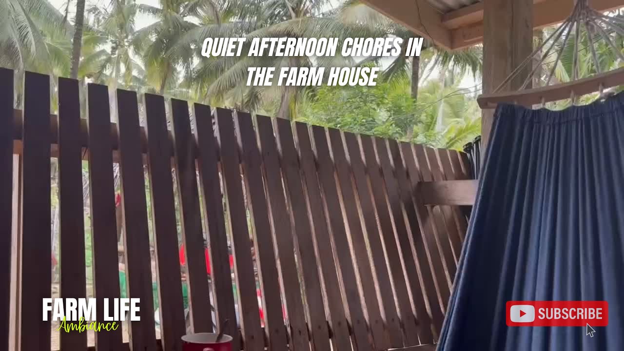 Chill afternoon chores in the farm | Country side living | Feeding chickens & chicks, chopping woods