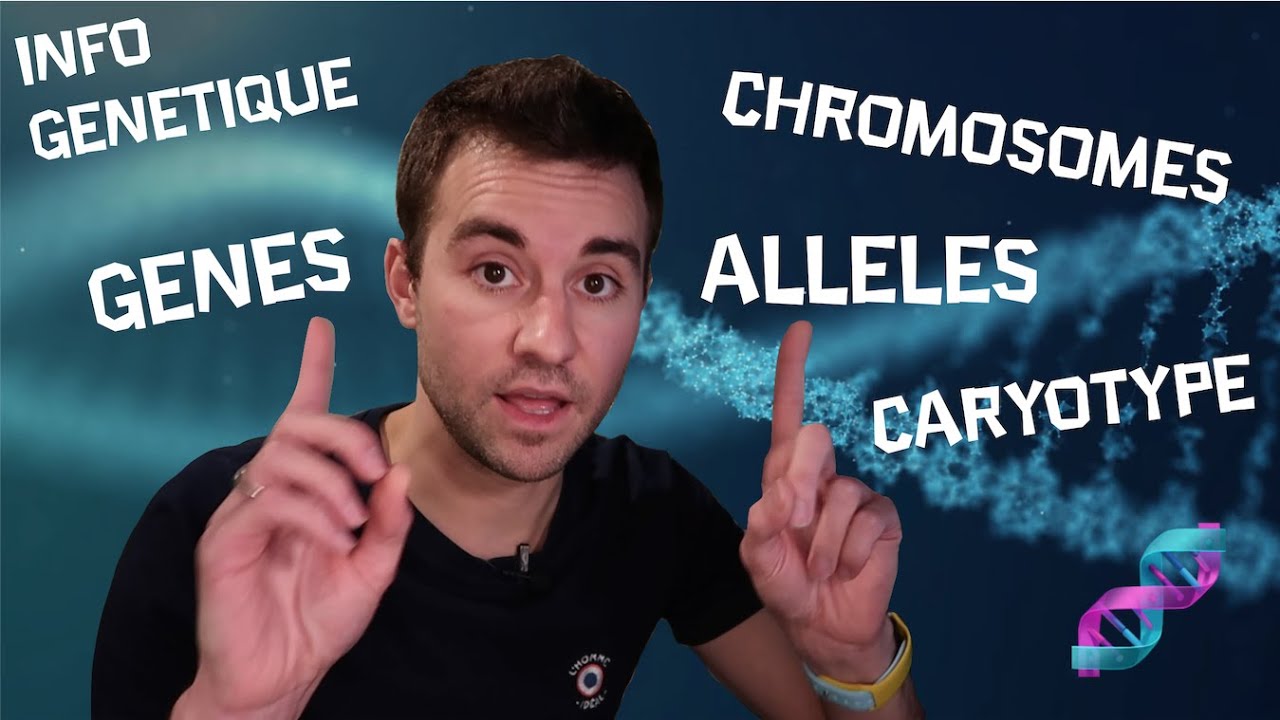 🧬 Les bases de la génétique