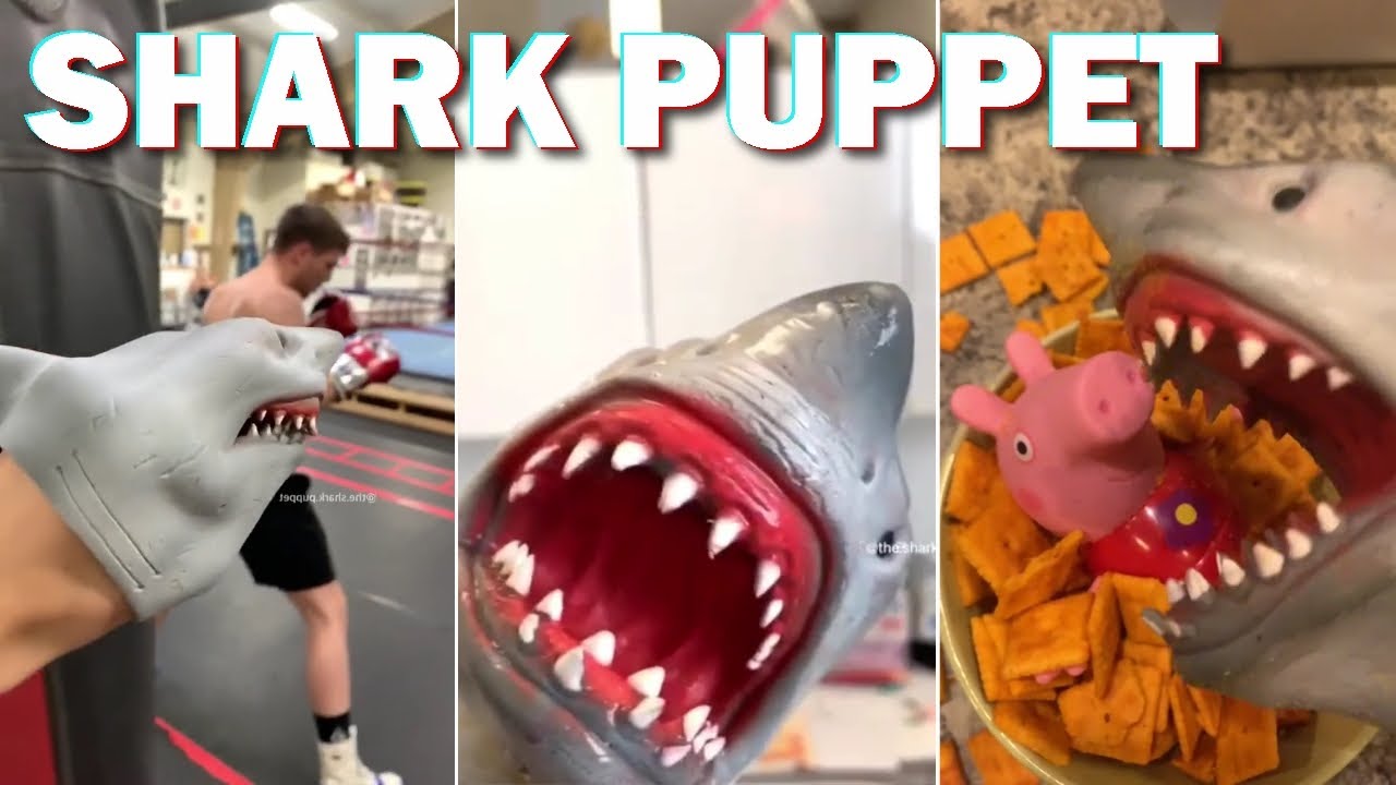 Funny Shark Puppet Skits | Try Not To Laugh Watching Shark Puppet Videos | 2023