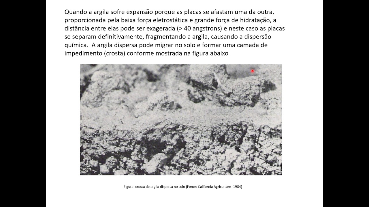 Efeitos da salinidade da &aacute;gua sobre solo