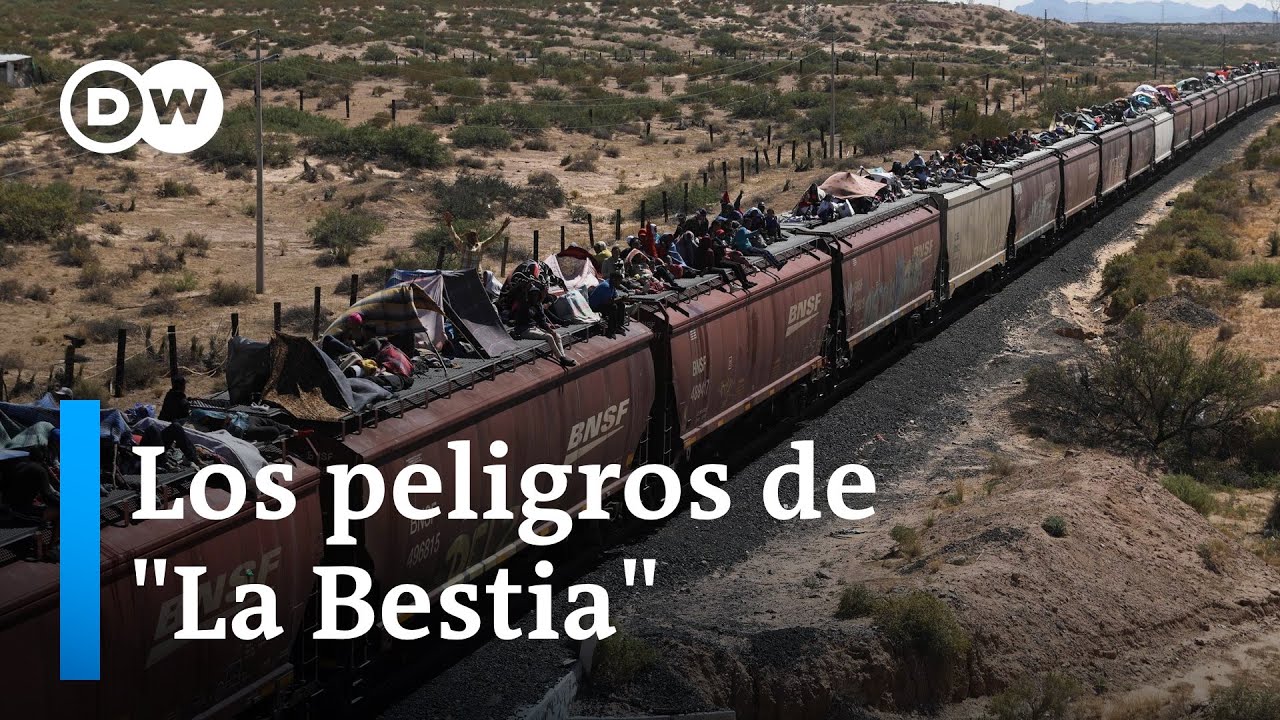 Arriesgar la vida por el 