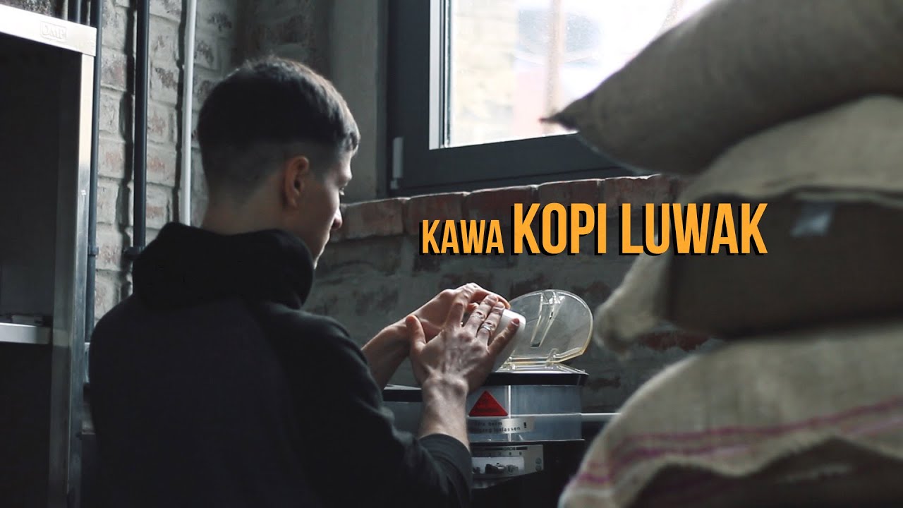 Kopi Luwak &ndash; czy warto pić najdroższą kawę świata, czy to tylko marketingowa ściema?