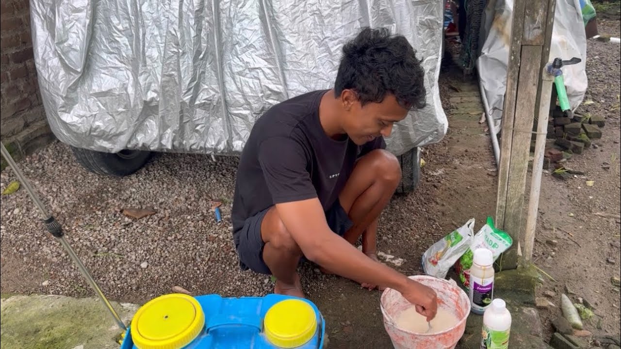 NGEWANGI MOROTUWO BEN RA PATI INGAH-INGIH