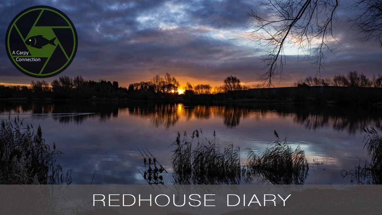 Carp Fishing - A Carpy Connection -  Pride of Derby Redhouse lake Diary pt4