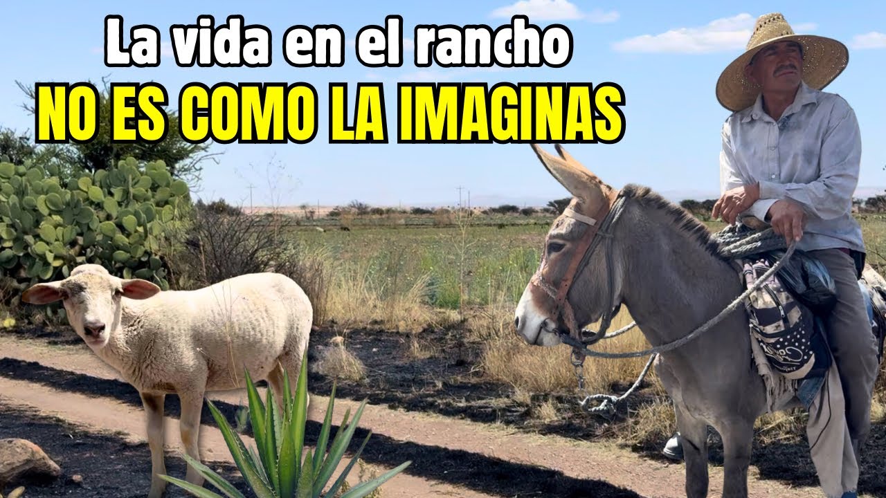 Gracias a mis animalitos nunca me a faltado que comer 