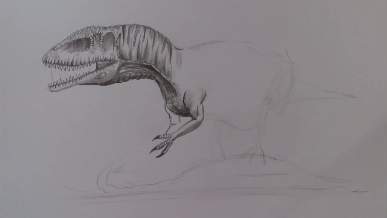How to Draw Carcharodontosaurus - Simple Tutorial