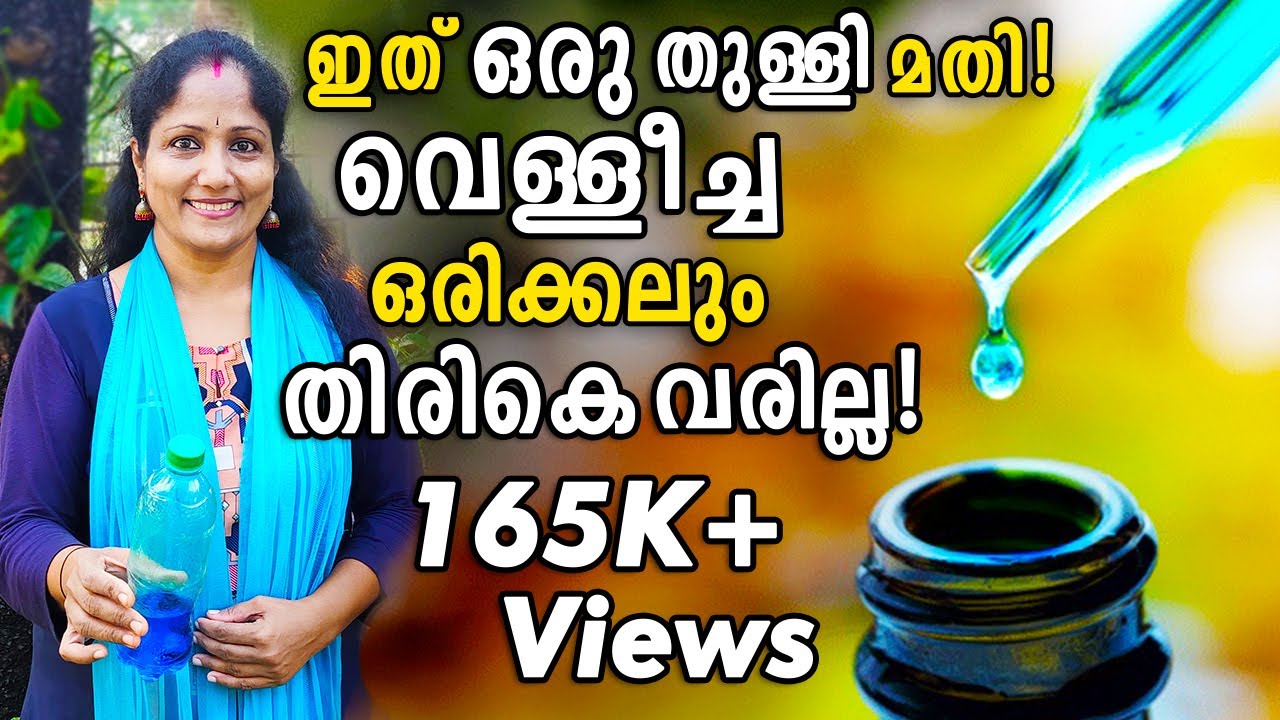 ഇത് ഒരു തുള്ളി മതി! വെള്ളീച്ച ഒരിക്കലും തിരികെ വരില്ല! | MAGIC Remedy Drops for White Fly!