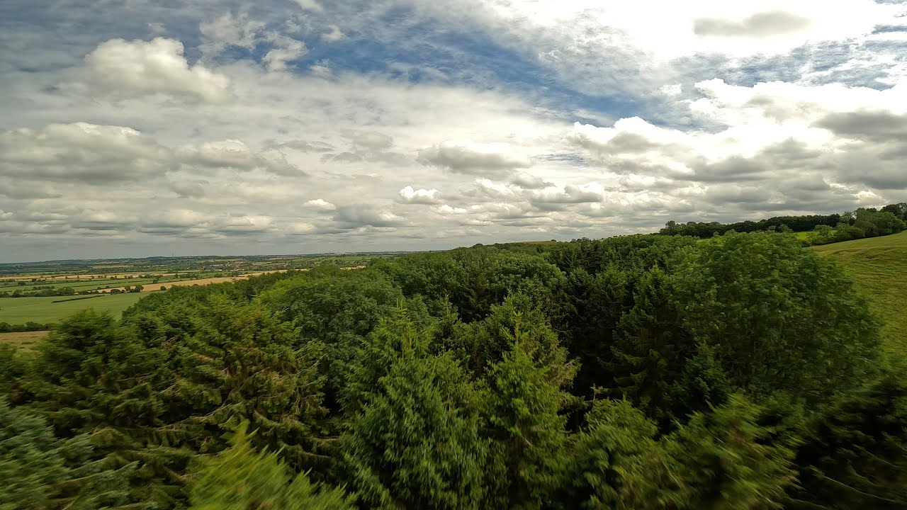 IFLIGHT CHIMERA 7 CUSTOM - FINAL TEST FLIGHT 🌳🌳 #fpvcinematic #goprohero11mini