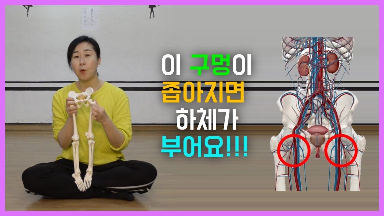 [마름모코어 시즌 1-130] 하체문제 개선하기 / 다리가 붓거나 저릴때 이 공간 확보하기 / 앞 허벅지만 두꺼울땐 장골 뒤로 당기기 / 등척성 스트레칭