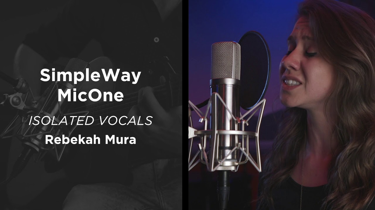 SimpleWay  MicOne